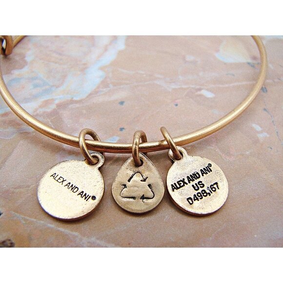 Alex & Ani Slide Bangle Charm Bracelet Crystal Snowflake Path Symbols Gold Tone - Picture 3 of 7